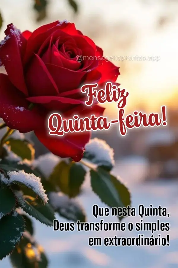 Que nesta Quinta, Deus transforme o simples em extraordinário! Feliz Quinta-feira!