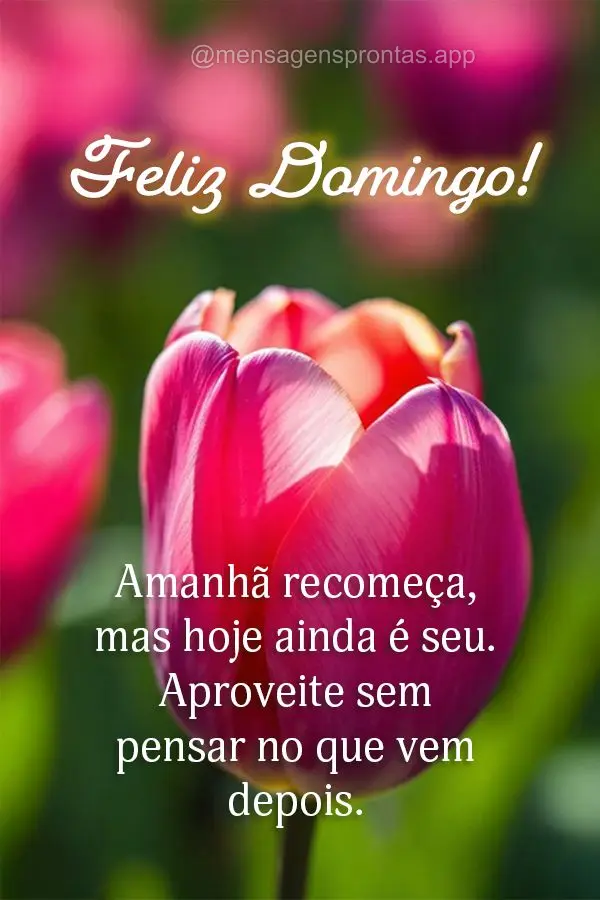 Amanhã recomeça, mas hoje ainda é seu. Aproveite sem pensar no que vem depois. Feliz Domingo!