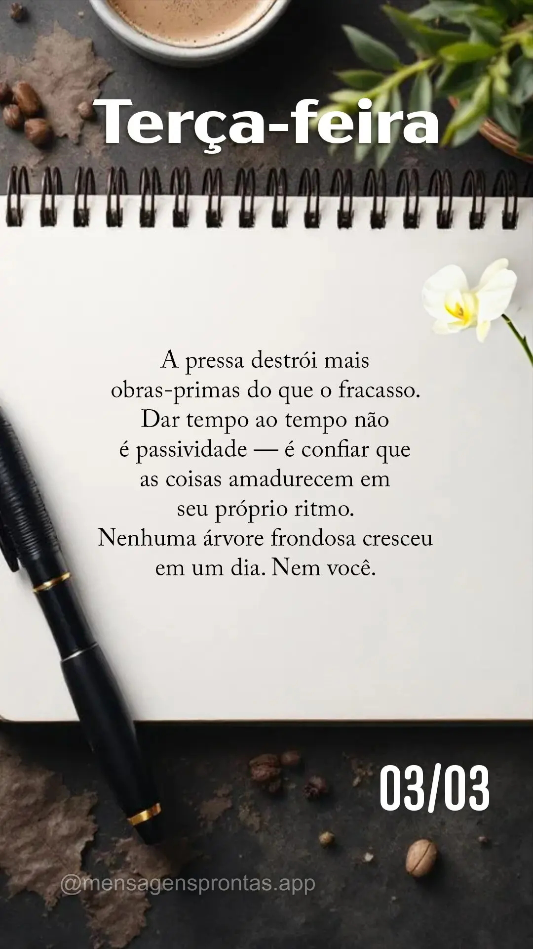 A pressa destrói mais obras-primas do que o fracasso. Dar tempo ao tempo não é passividade — é confiar que as coisas amadurecem em seu próprio rit...