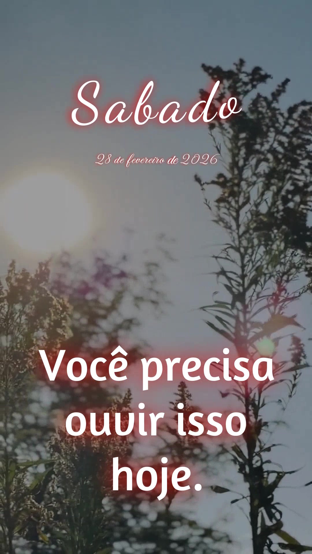 Você precisa ouvir isso hoje... Estamos no último dia de fevereiro, um sábado cheio de significado. Fevereiro termina, e com ele, uma etapa da sua jor...