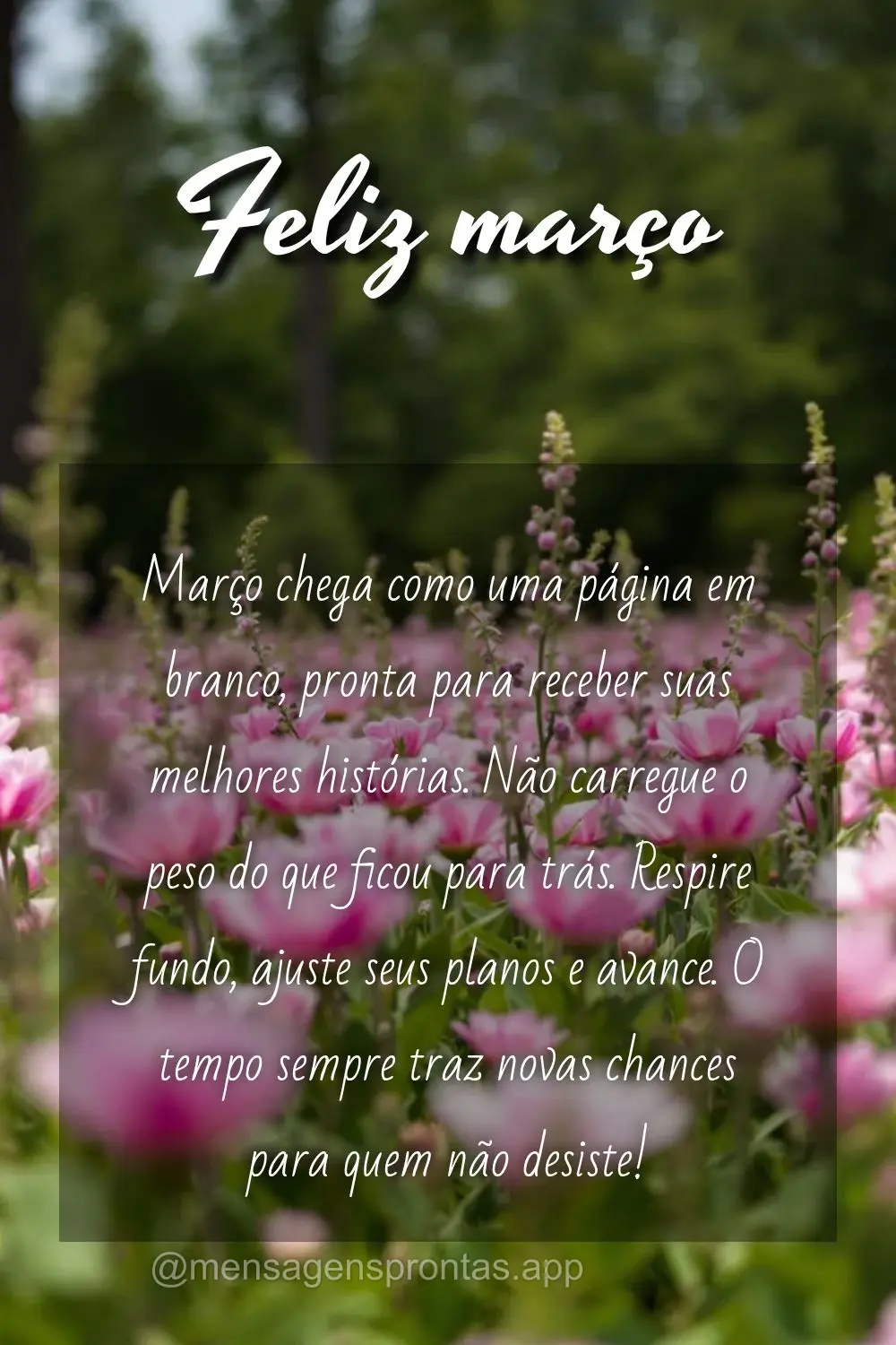 Março chega como uma página em branco, pronta para receber suas melhores histórias. Não carregue o peso do que ficou para trás. Respire fundo, ajust...