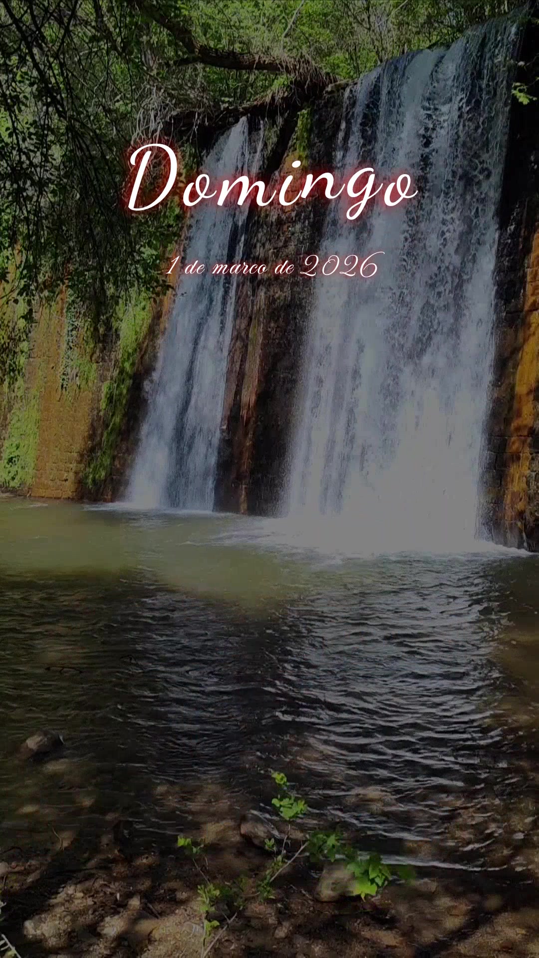 Não ignore esta mensagem... Hoje é domingo, 1 de março de 2026, e a vida te trouxe até aqui. Quantas vezes paramos para pensar no que realmente impor...