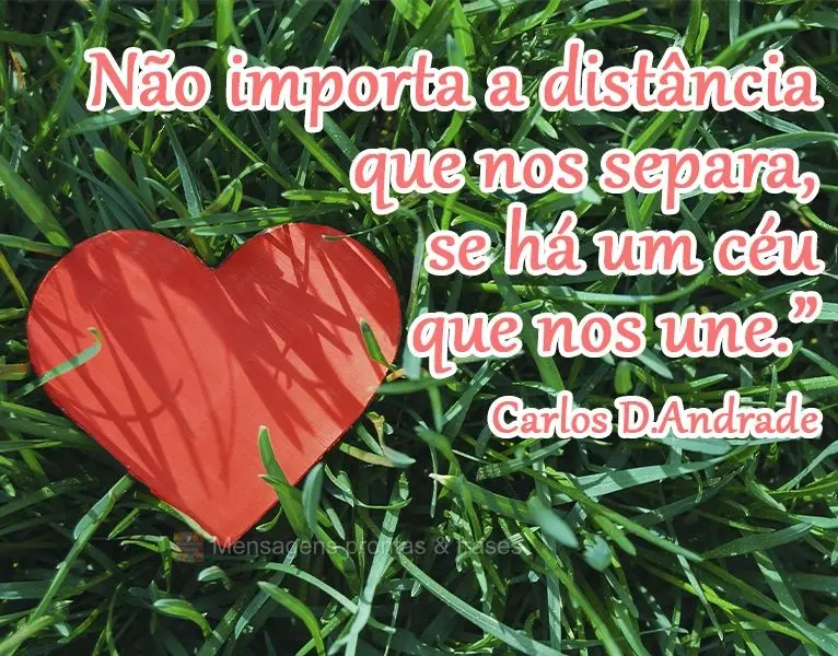 Não importa a distância que nos separa, se há um céu que nos une.”
  Carlos Drummond Andrade
