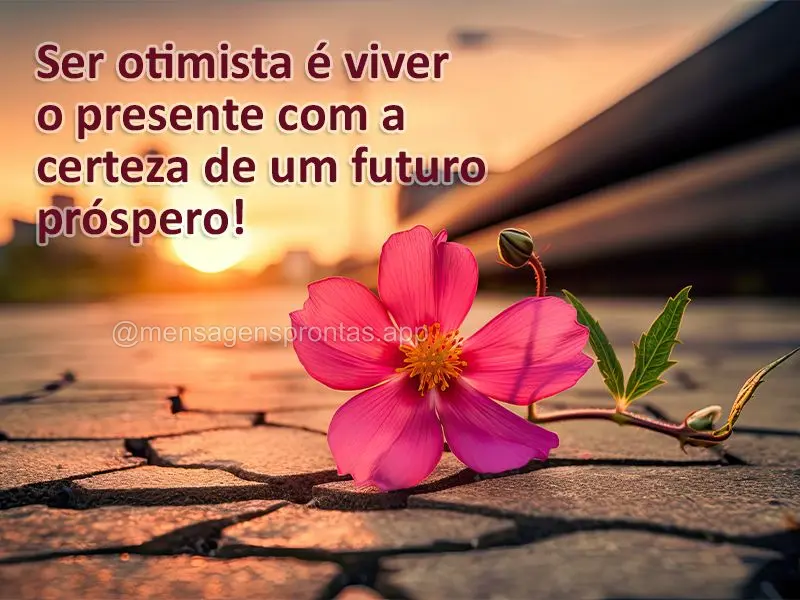 Ser otimista é viver o presente com a certeza de um futuro próspero!